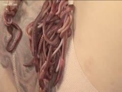 Extreme masturbation with worms
